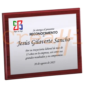 Placa personalizada reconomiento